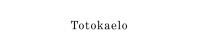 Totokaelo プロモーション コード 